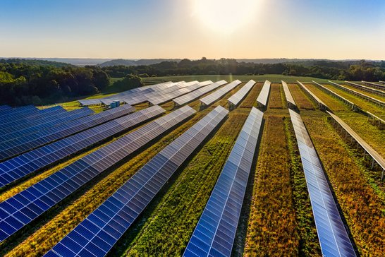 Picture by Tom Fisk from Pexels Picture by Tom Fisk from Pexels